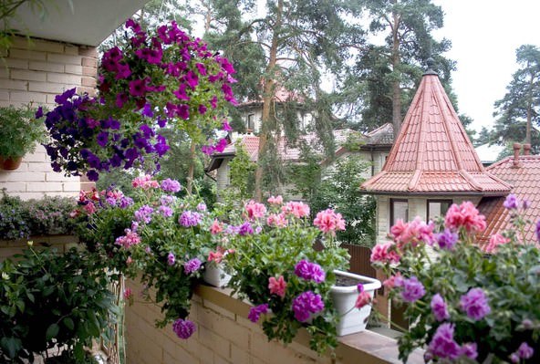 балконный цветник