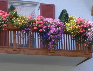 Балконные ящики для цветов